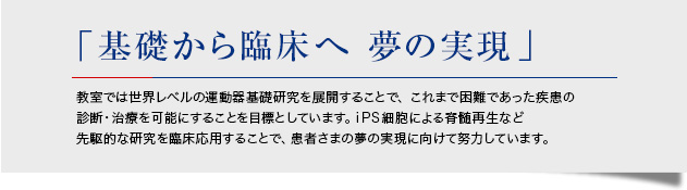 「基礎から臨床へ 夢の実現」 教室では世界レベルの運動器基礎研究を展開することで、これまで困難であった疾患の診断・治療を可能にすることを目標としています、iPS細胞による脊髄再生など先駆的な研究を臨床応用することで、患者さまの夢の実現に向けて努力しています。